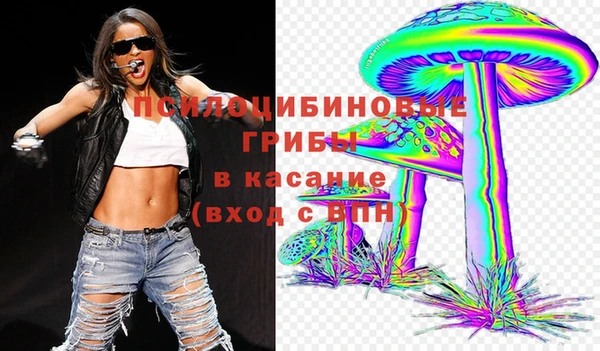 крисы Рославль