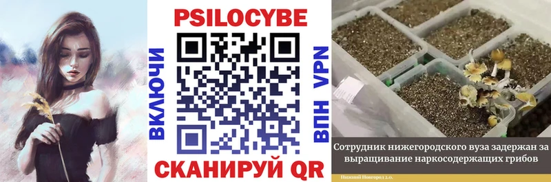 Псилоцибиновые грибы MAGIC MUSHROOMS  Абаза 